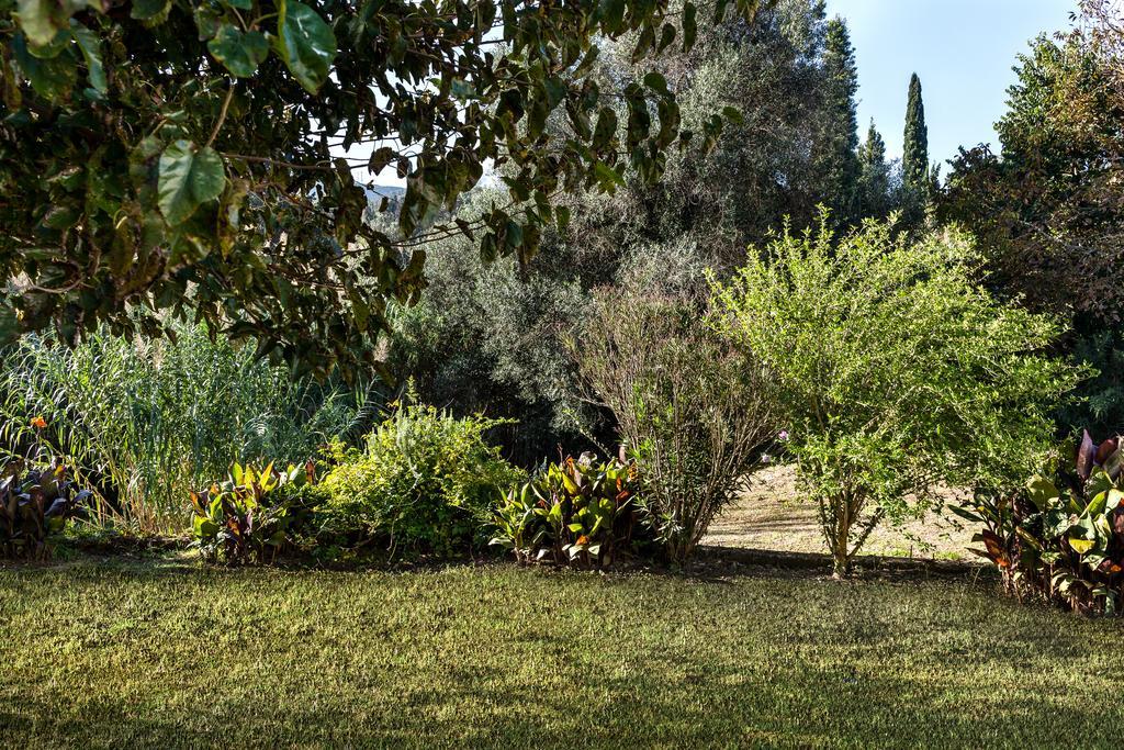 Villa Zen Stone House à Agios Georgios Pagon Chambre photo